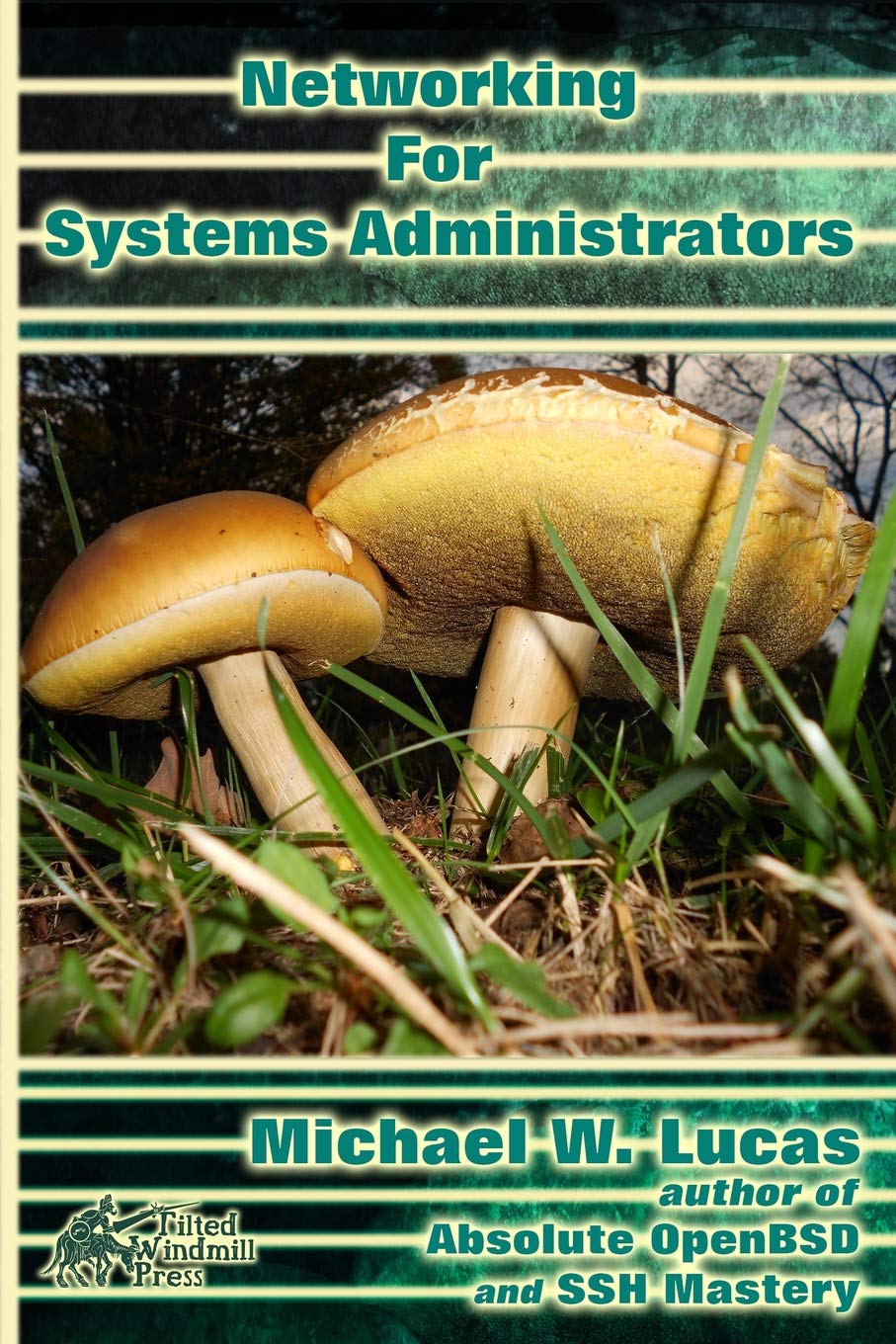 Michael W Lucas: Networking for Systems Administrators (Paperback, 2015, Tilted Windmill Press)